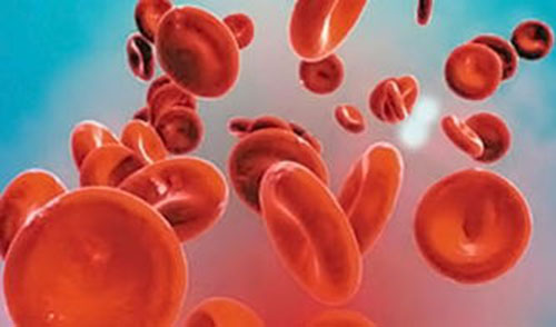 Ѫ������ʲô��˼ Ѫ�����Ƿ�ʪ����